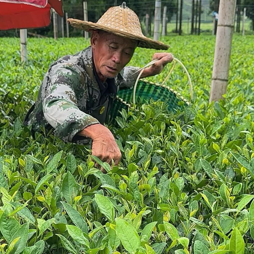 手不释卷茶叶店