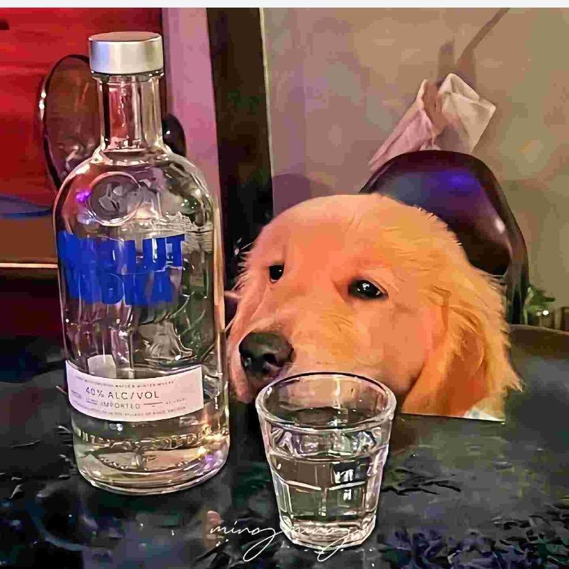 🎄