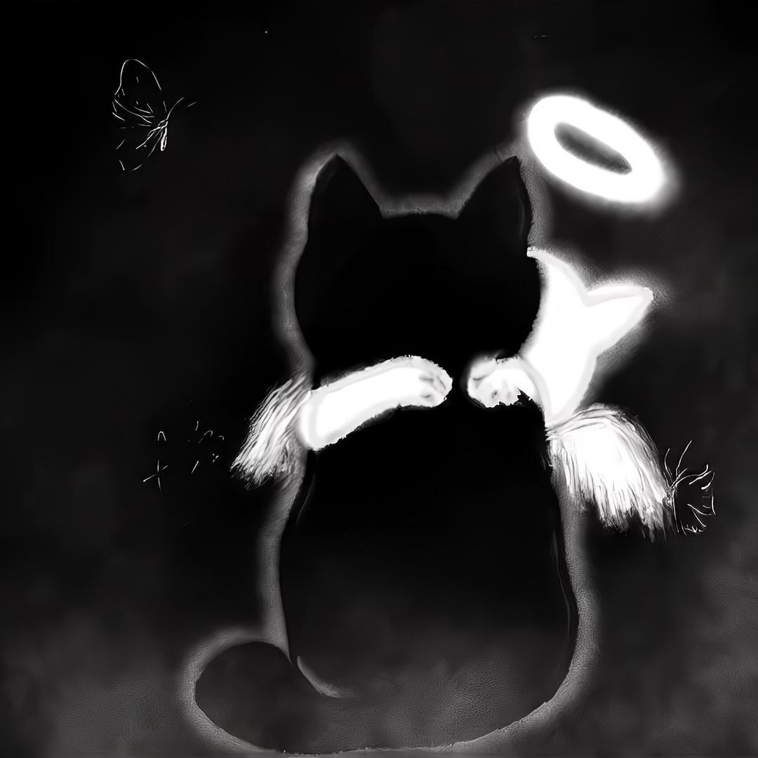 猫猫拆卡卡