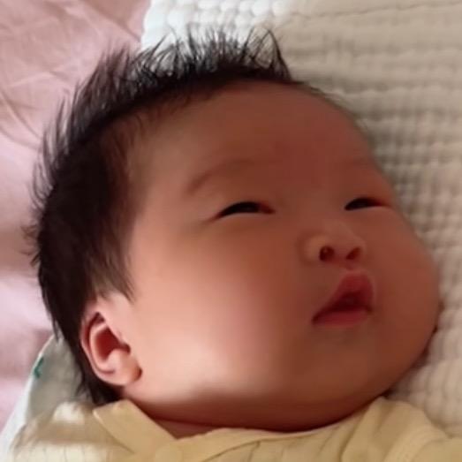 曹公子
