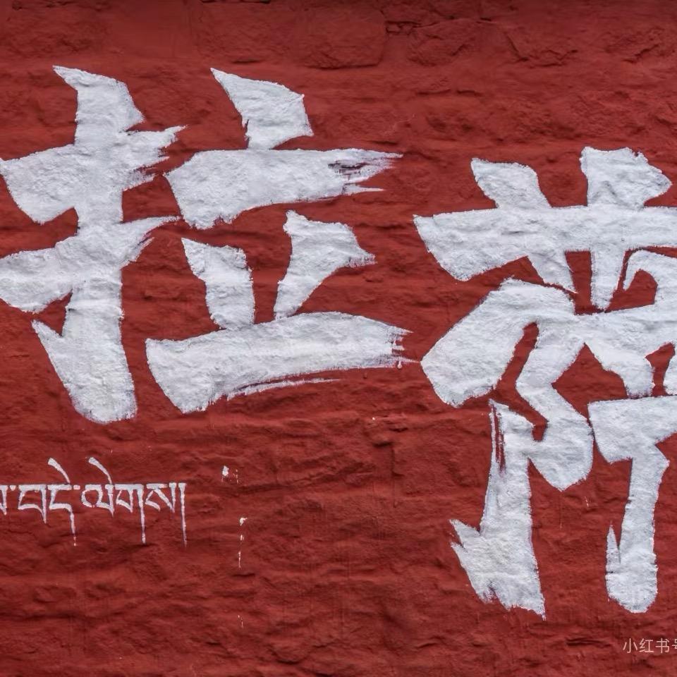 西藏旅游（老邢避坑攻略）