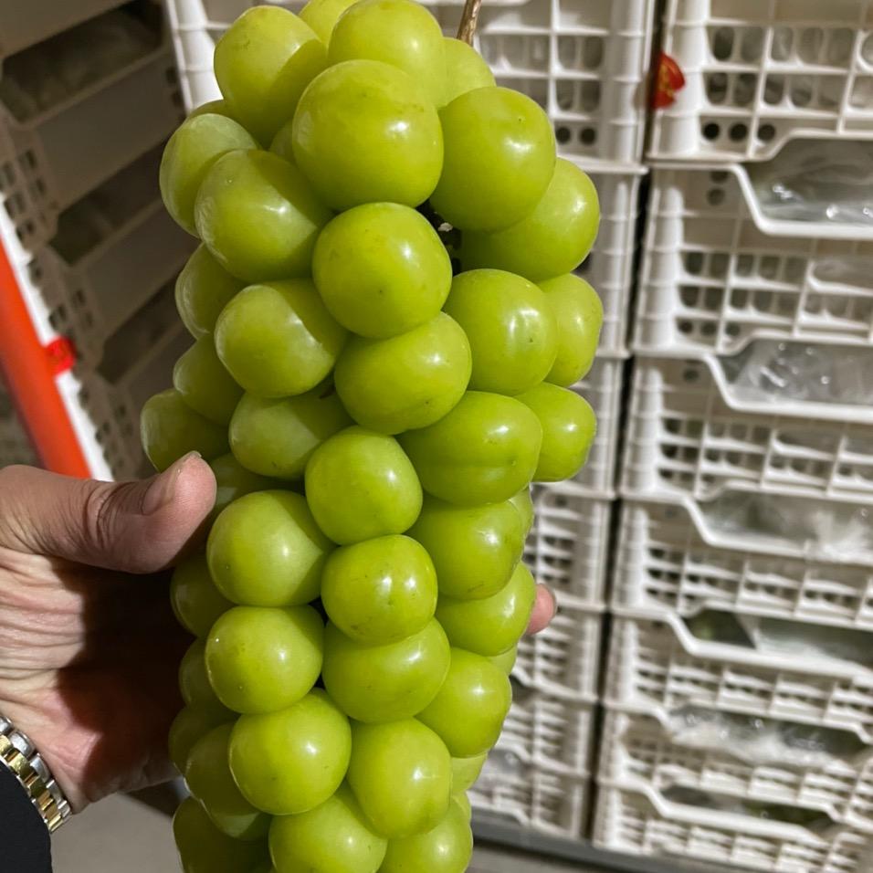 方鑫旺精品水果