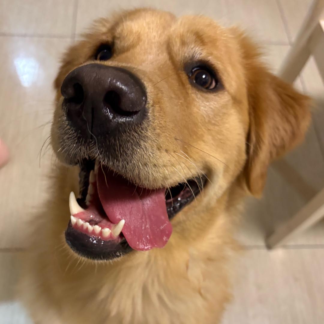 哇哇哇哇噻吖～