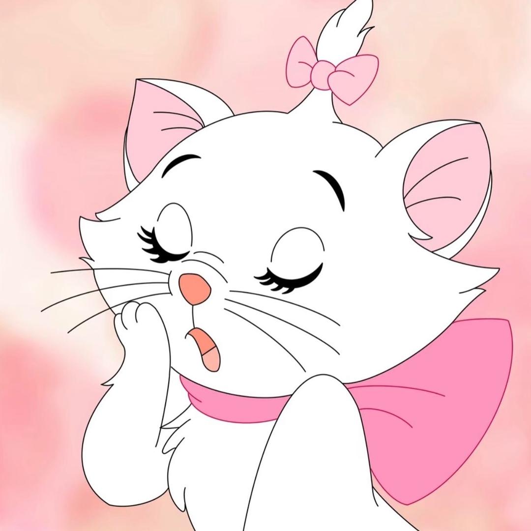 猫猫大人ʚɞ 🐱ʚɞ