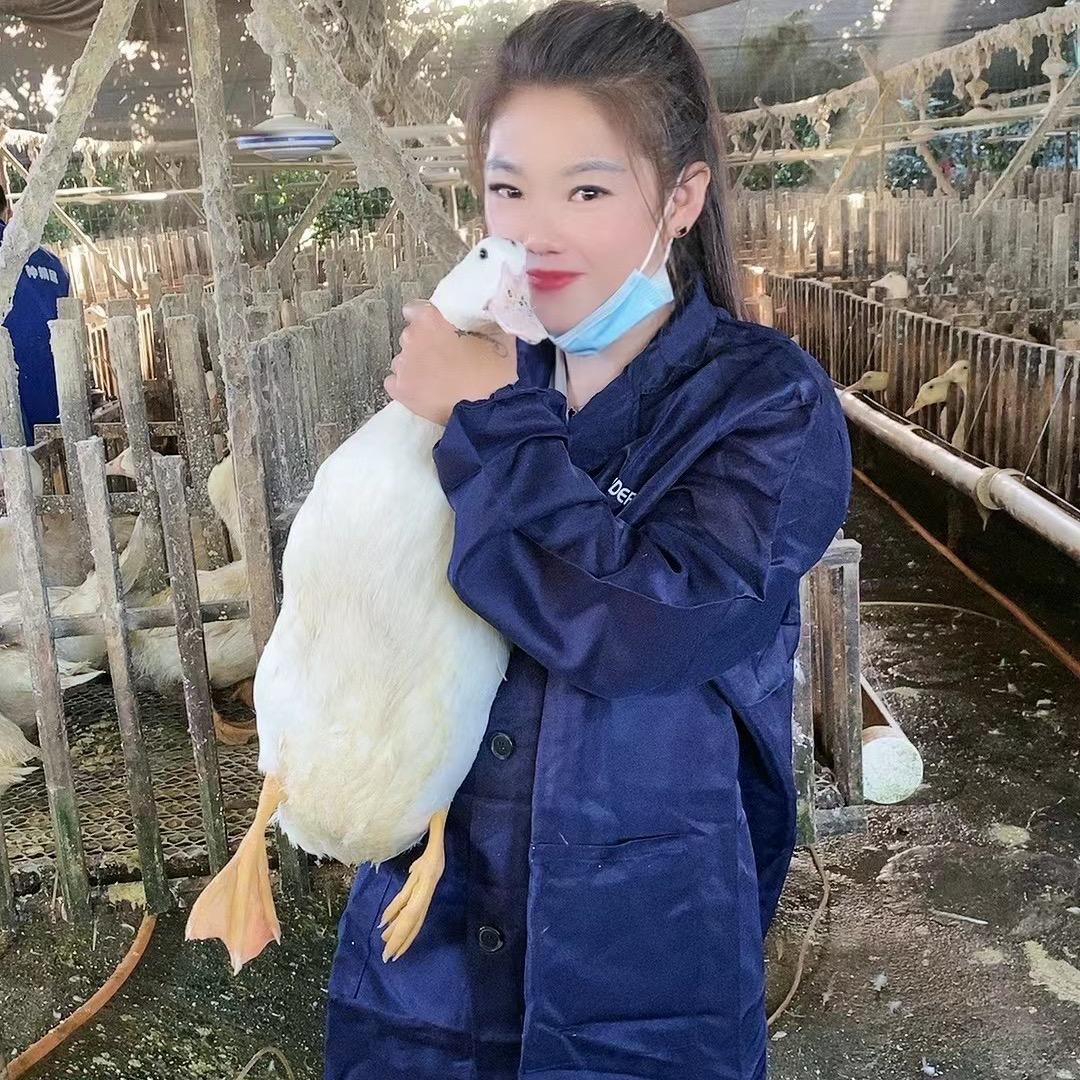林家四姐