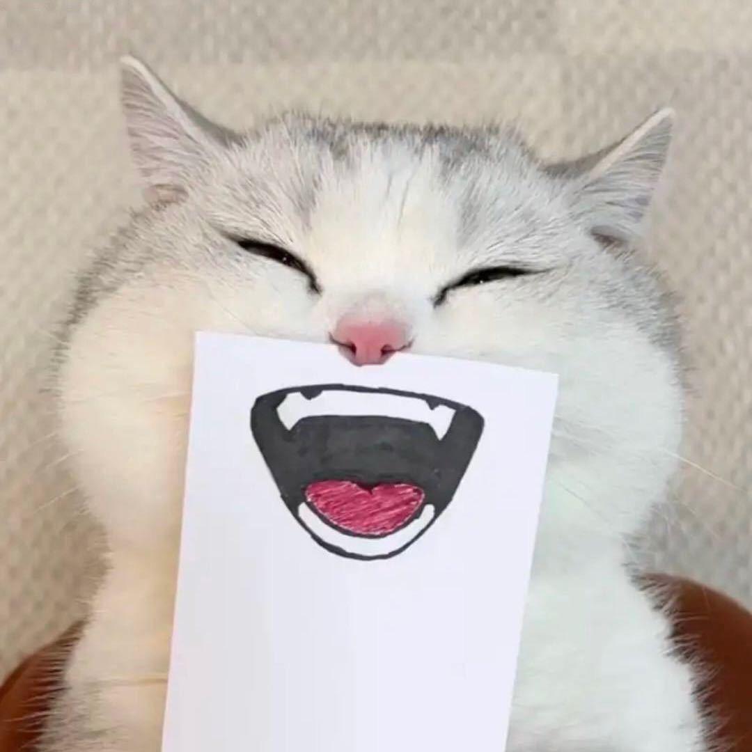 ㅤㅤㅤ