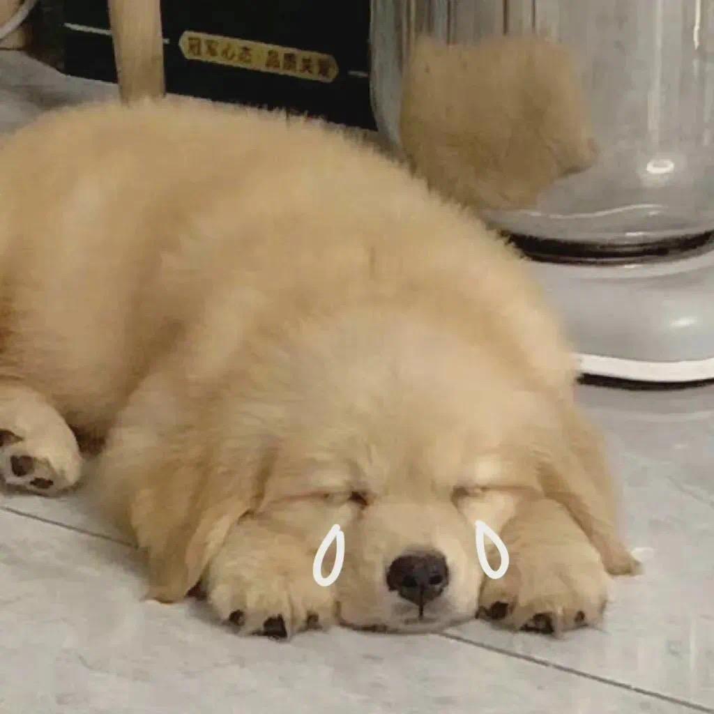 冰冻生菜