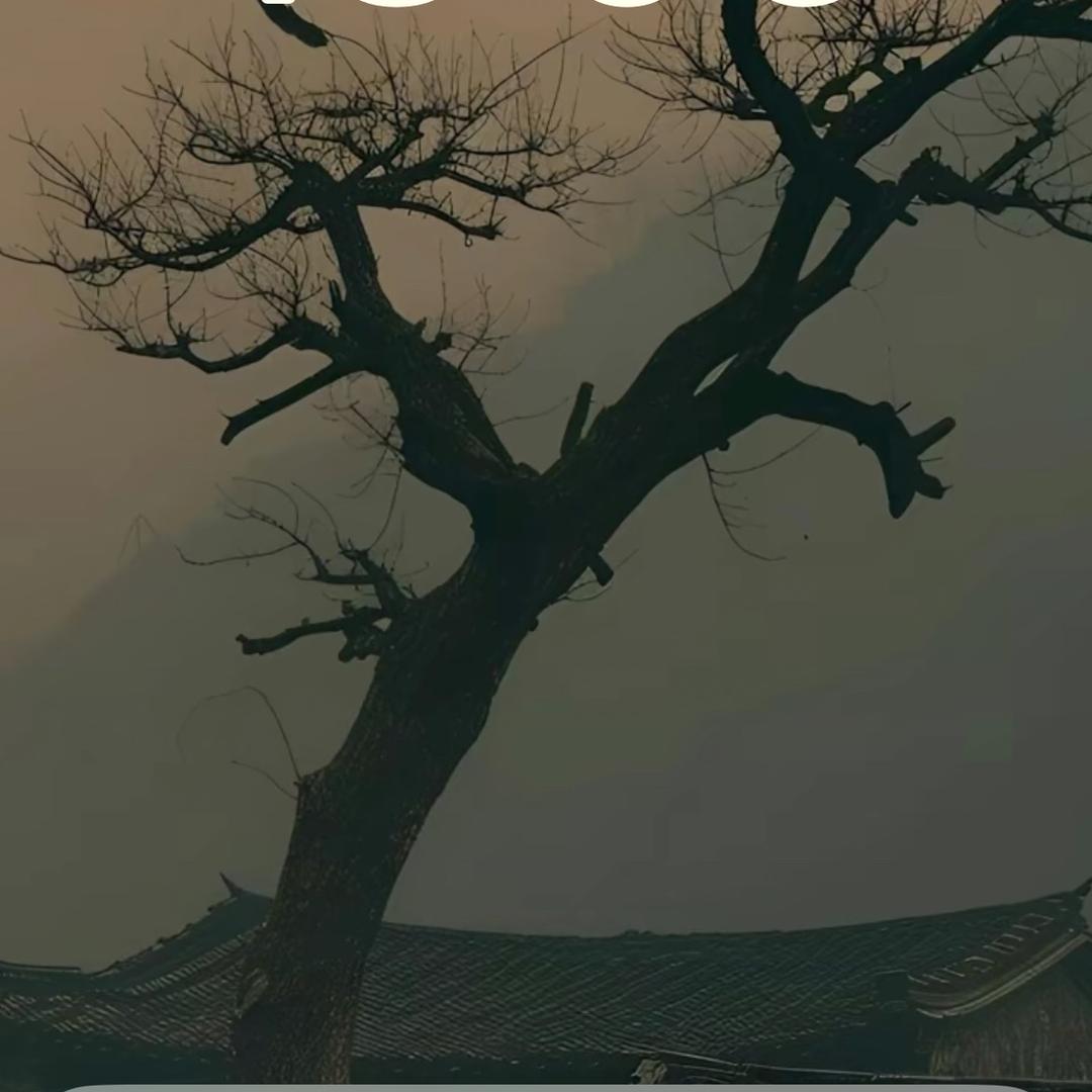 无悔