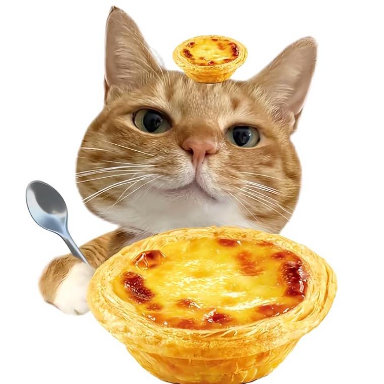 闪耀的芝士蛋挞