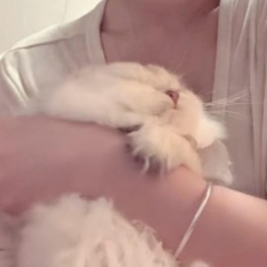 谢不肉