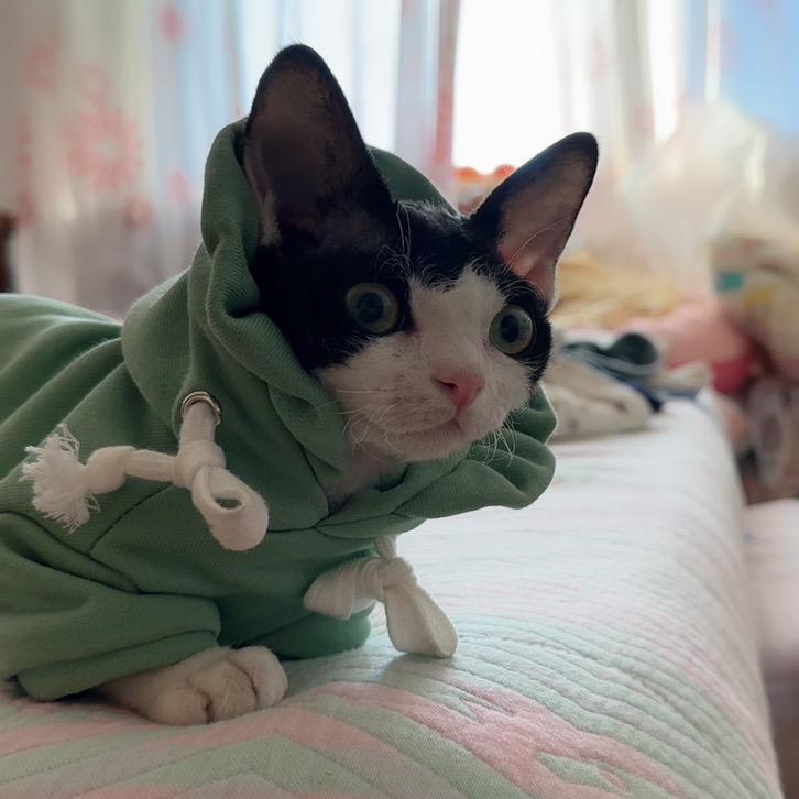 七月老皮和阿丑