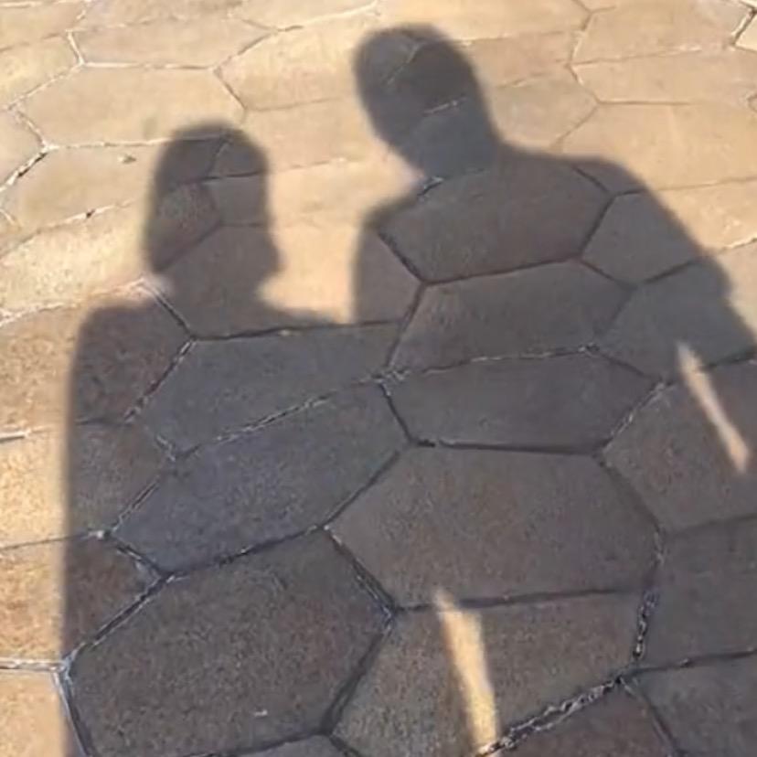 奥德宝_马子마욱동🐑