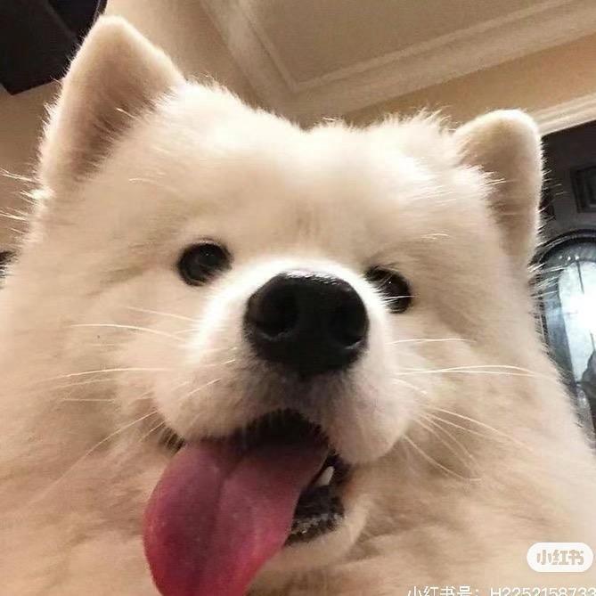 LWYBXXXX