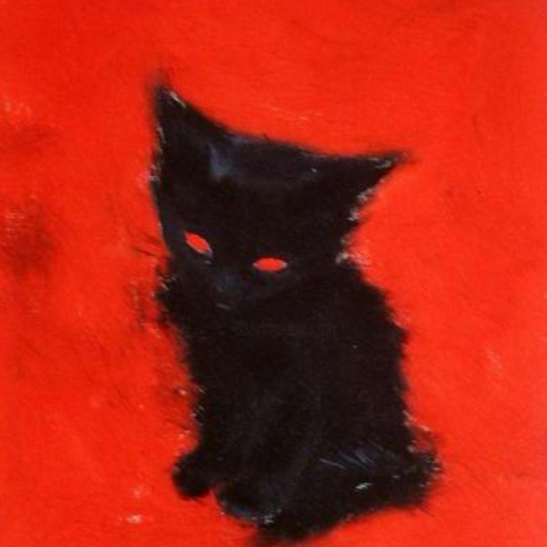 岁岁平安喵🐈⬛