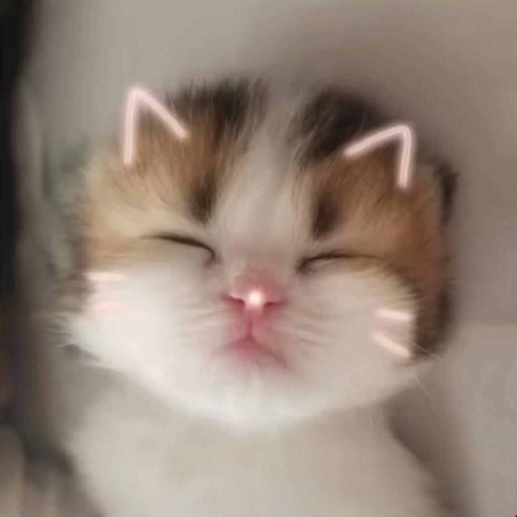 好耶