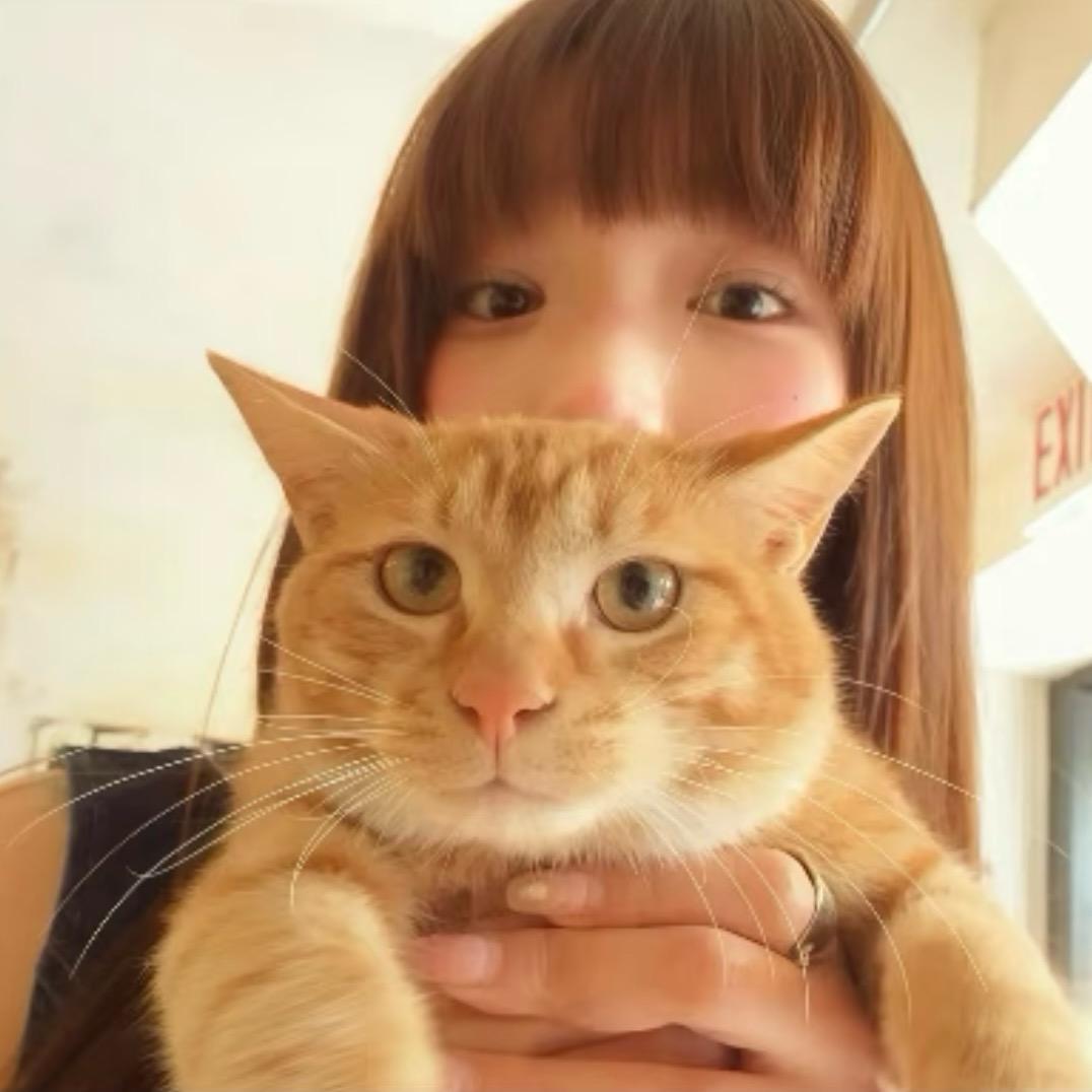 蛋挞小y