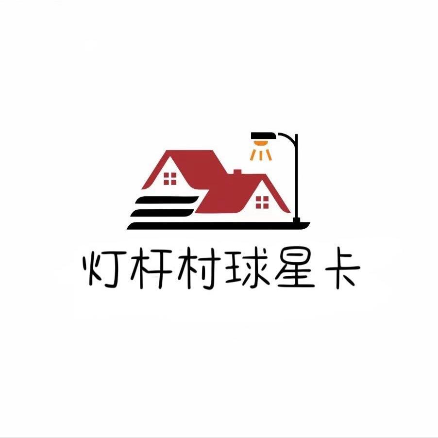 灯杆村村长
