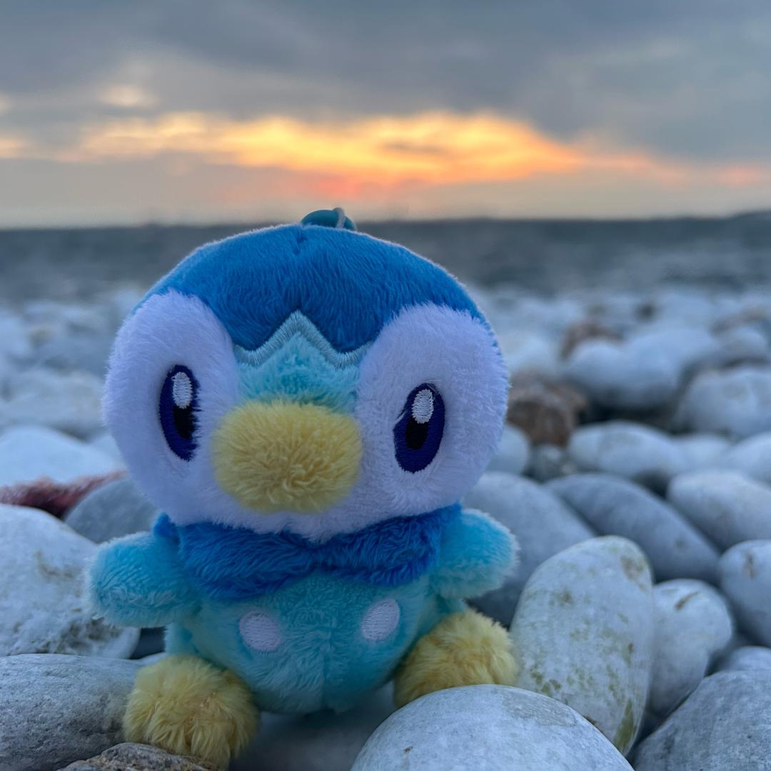 🌈快乐小朋友冲冲