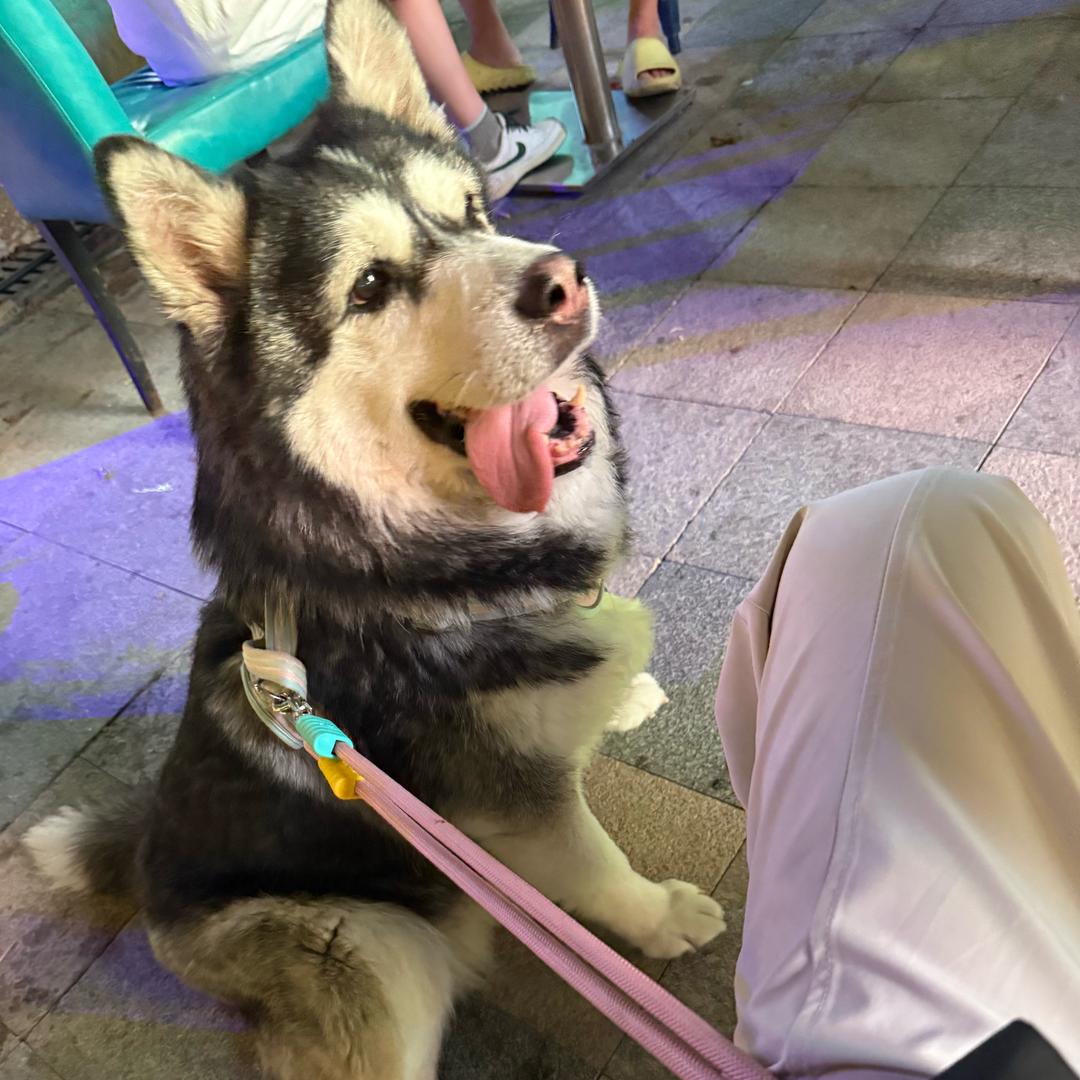 陸瀮