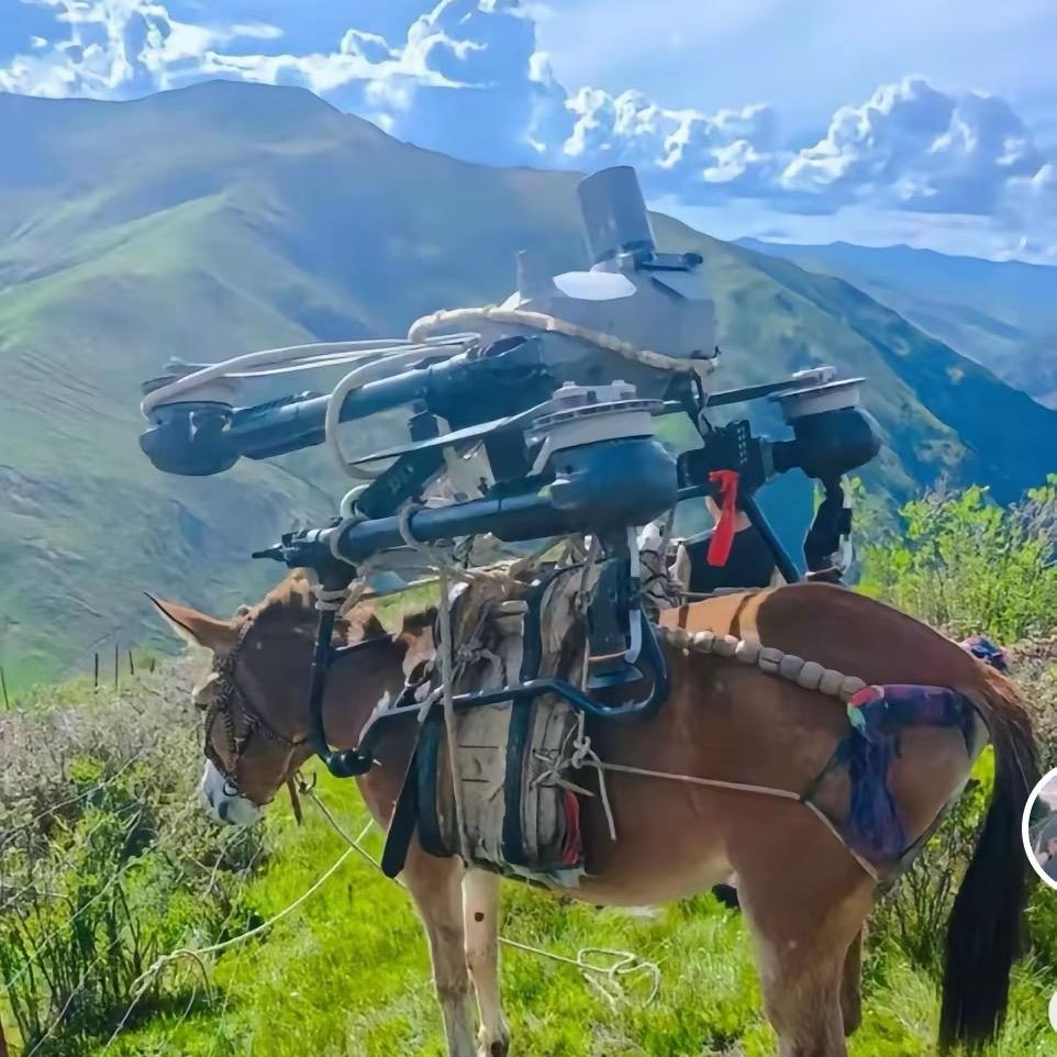 精神老舅（筋斗云吊运团队）