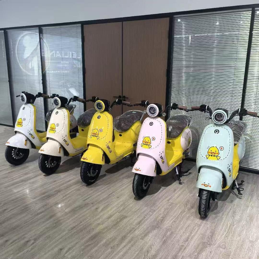 湛江电动车批发零售