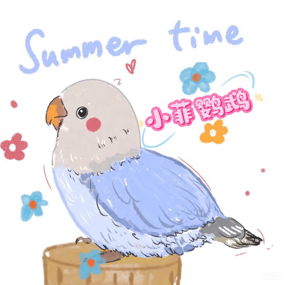 小菲鹦鹉养殖场