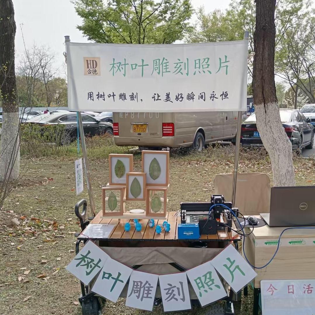 合德树叶雕刻照片