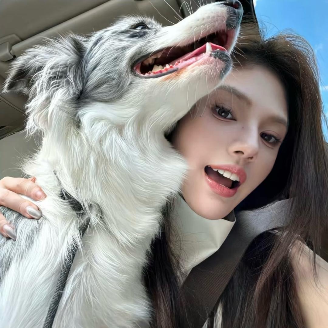 ꫛ℘℘ꫀꪄꪶ .