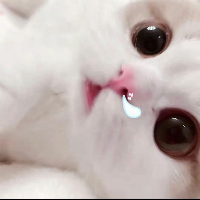 退烧贴