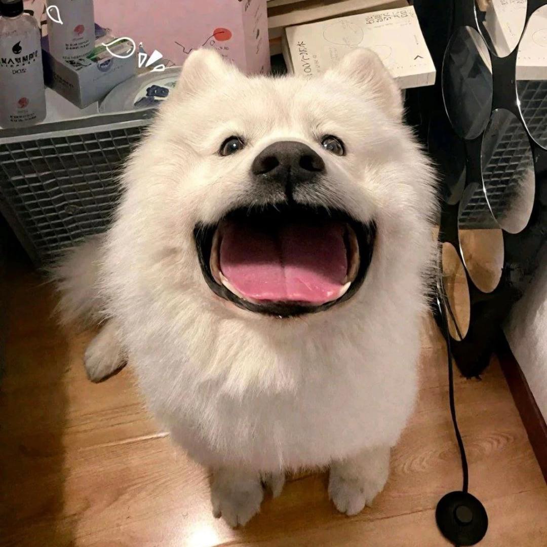 懒洋洋•