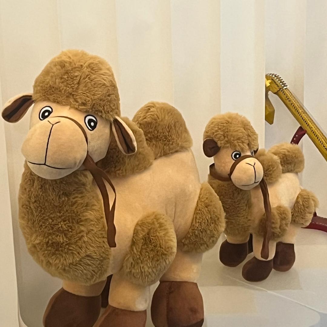 1988玄秦💫💦💯