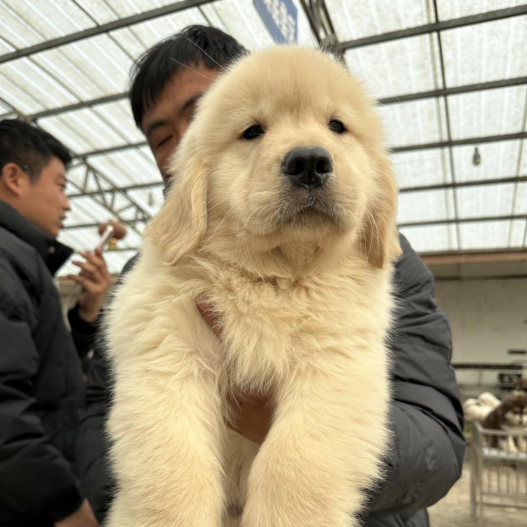 若影精品屋