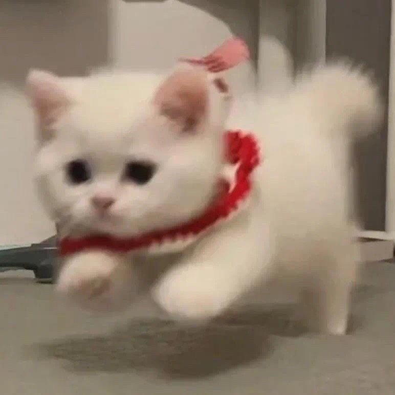 kiki