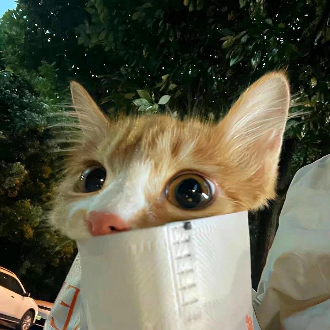 章鱼小丸子