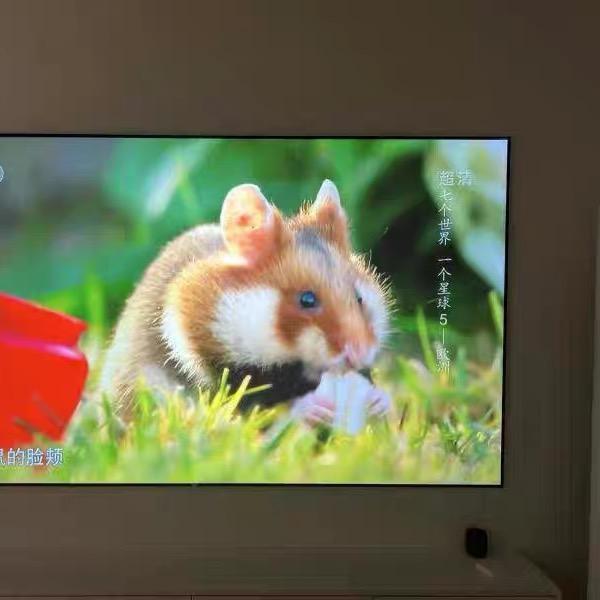 大龙精品投影机