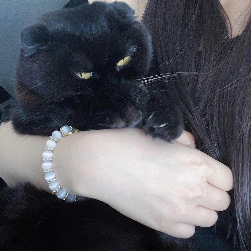 Blair和Coal和Liz的乐趣屋