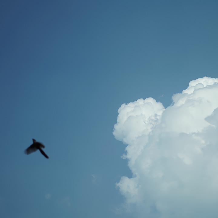 小小¹