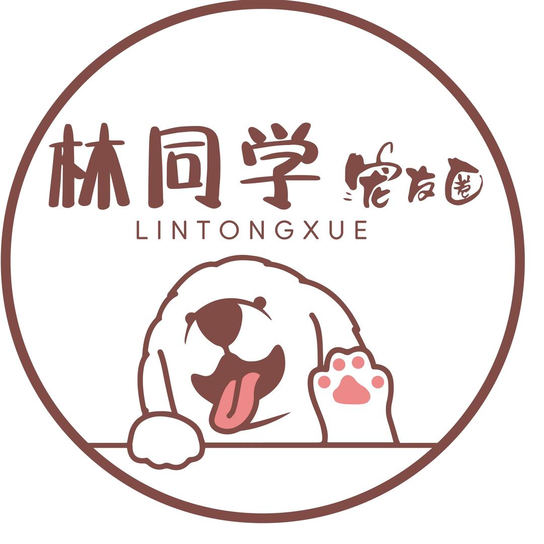 林同学宠友圈武汉猫狗1