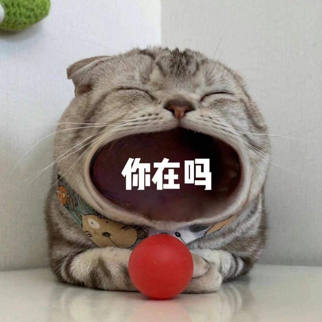 小羊仔的咩