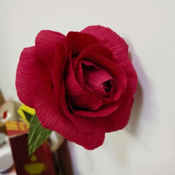 暴走小阿姨（农特产品）汉南跑团