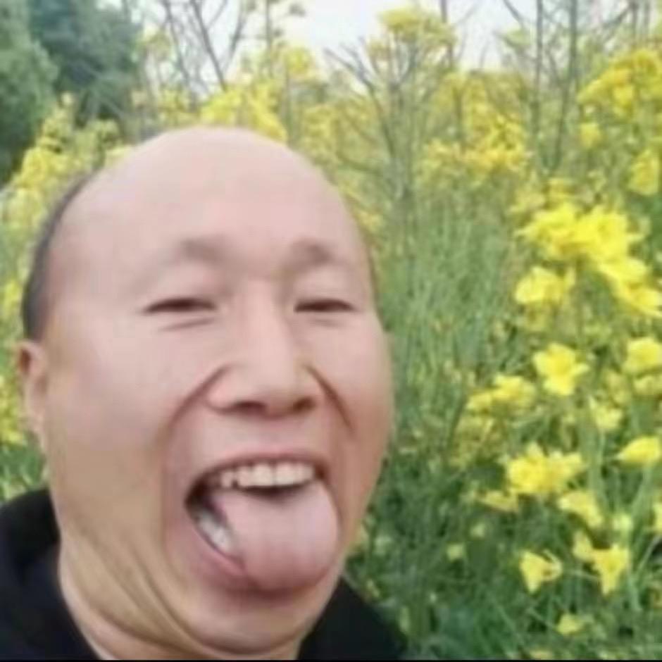 性感母蟑螂