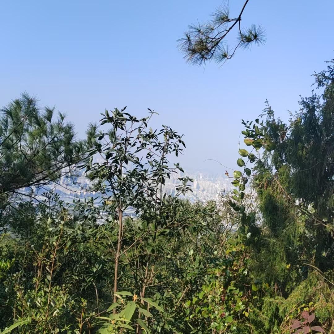 好物糖糖
