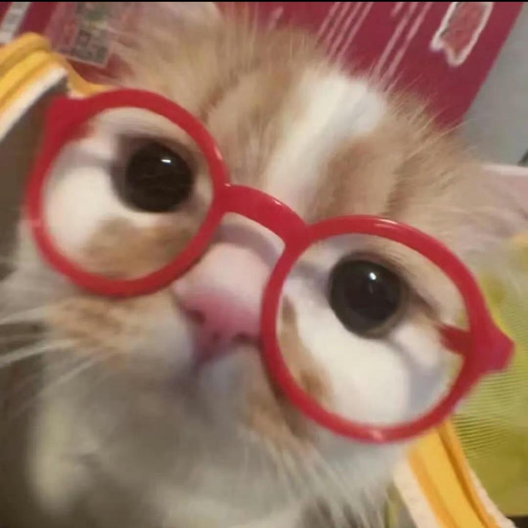 老子好想养猫！