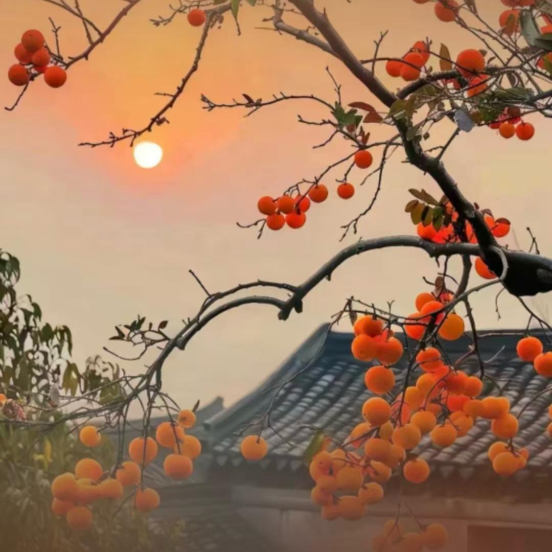 窗外风景