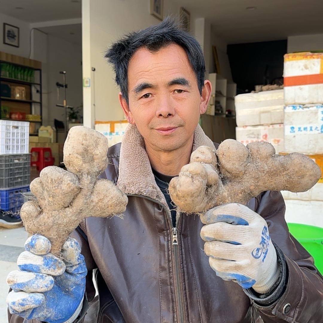 江大仙   山药砖家