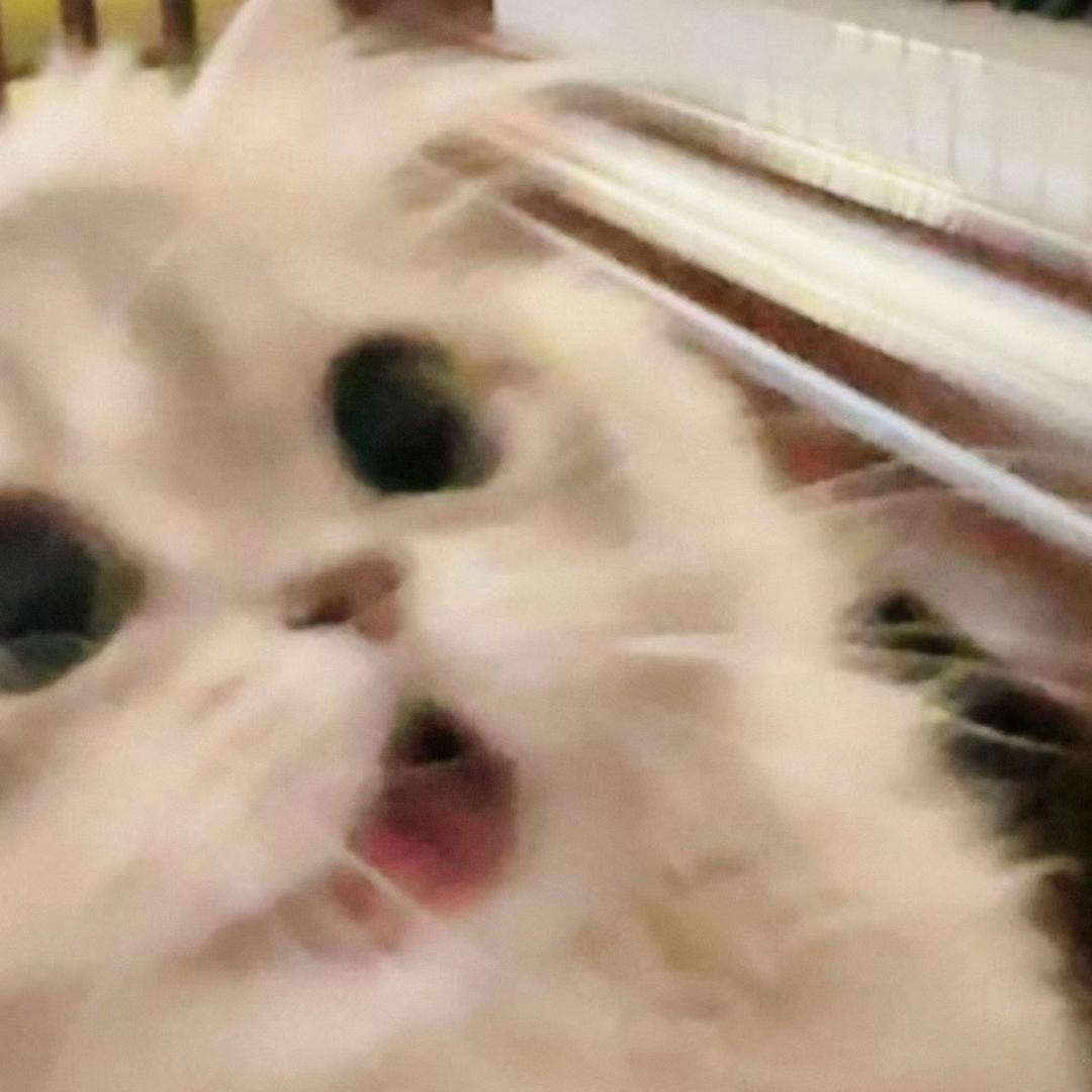 樱桃