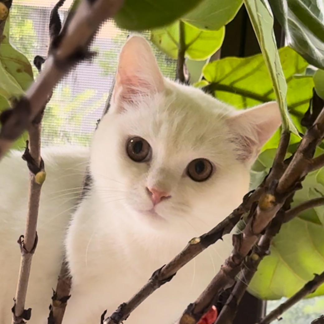 猫砂源头工厂