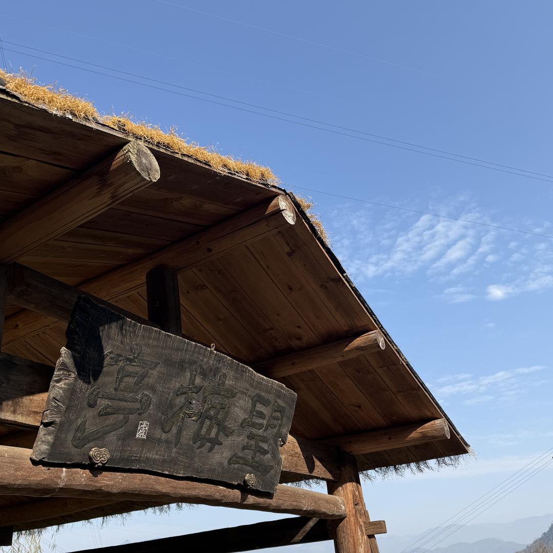 半山梅园—-望梅亭