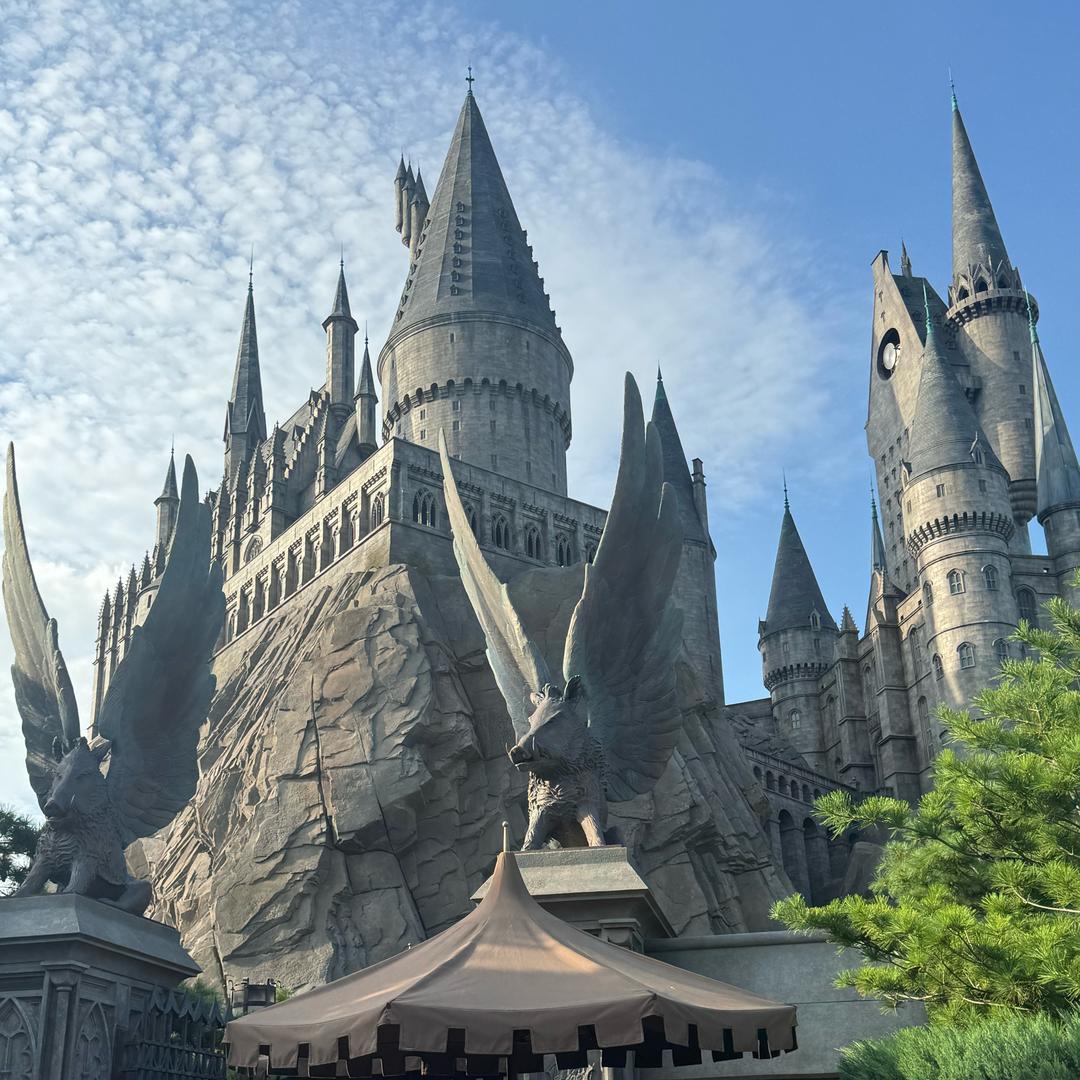 🌸未来可期🌸