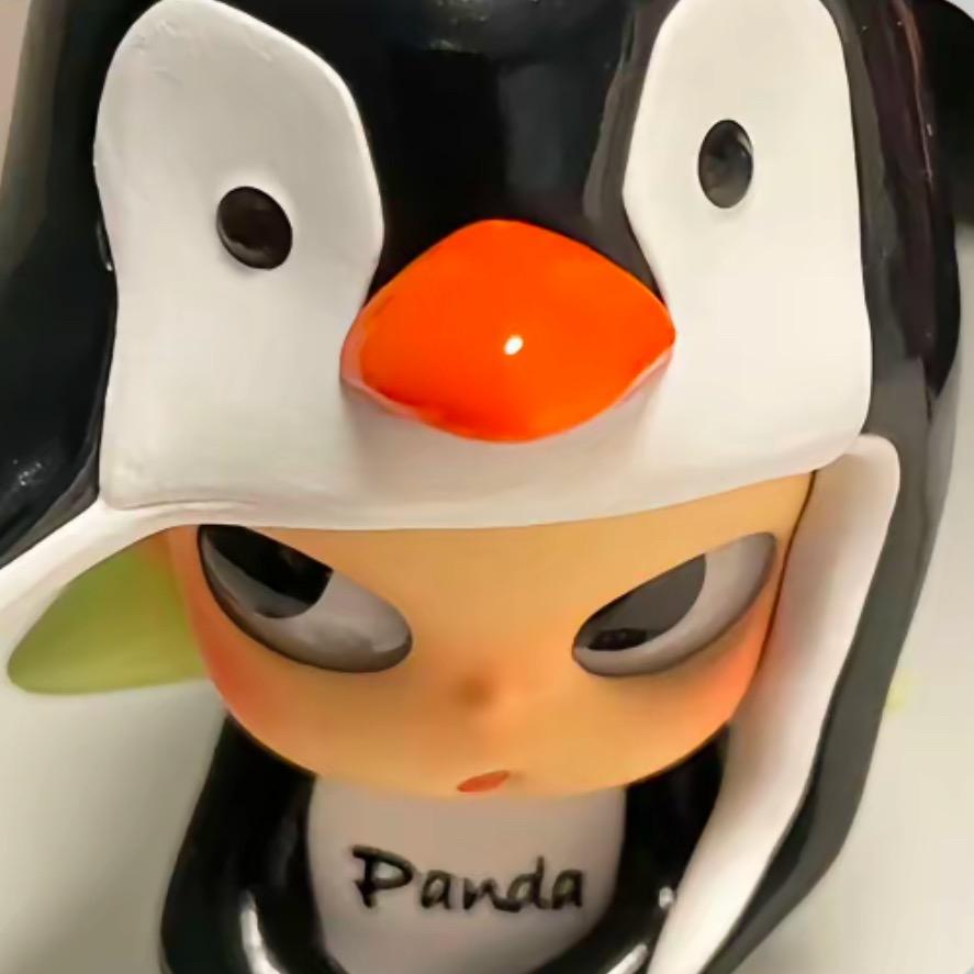 野菊花开